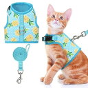 猫 ハーネス リード セット 猫用ハーネス 調節可能 胴輪 猫用品 ベスト 通気メッシュ 夜反射 軽量 簡単装着 散歩 お出かけ 抜けにくい 脱出防止 マジック...