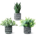 フェイクグリーン 光触媒 3点セット 人工観葉植物【セージ+サンスベリア+ユーカリ】ミニ インテリアグリーン 小さい 造花 卓上 世話いらず 水やり不要 オフィス ホーム デコレーション
