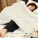 tororon ハーフケット 肌布団 100X140 肌掛け布団 肌掛けふとん 肌掛け 肌かけ 肌触りいい とろける とろーり レーヨンケット ひんやりケット ...