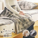 イヌもっふーる 膝掛け リバーシブル 両面 100x70 ひざ掛け 膝掛 暖かい温か 暖か 洗える あたたかい あったか あったか毛布 おしゃれ かわいい ふわ...
