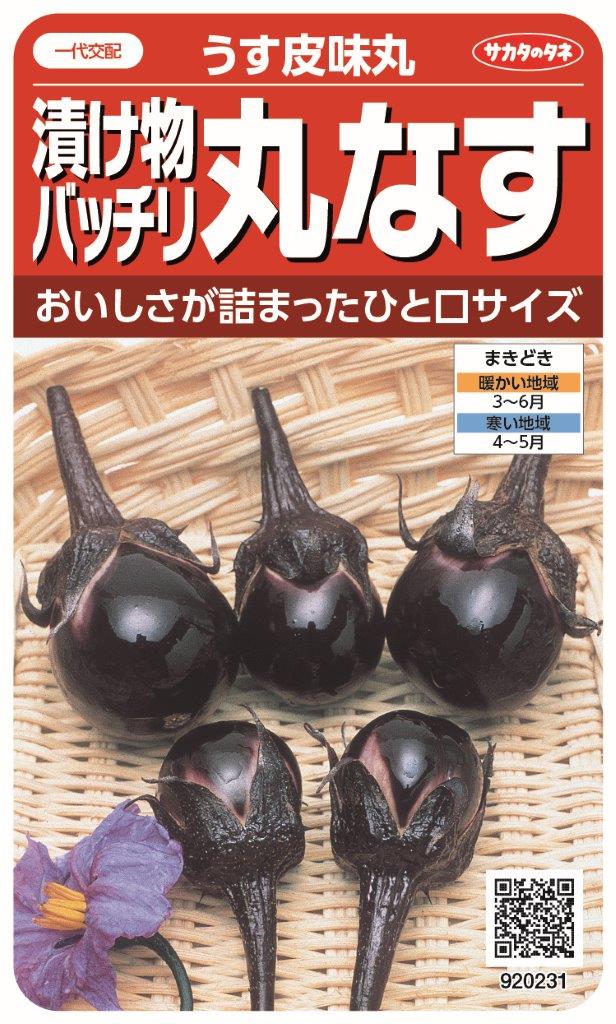 国内一律 離島含む 送料無料サカタのタネ 実咲 野菜果菜 丸なす うす皮味丸 漬物バッチリ5袋￥2850 5袋からの粒数目安 約350粒春まき おいしさが詰まった一口サイズ漬物にピッタリ 