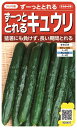 国内一律送料無料(離島含む)ず〜っととれるキュウリ5袋セット ¥2850(送料込み)