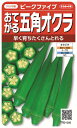 国内一律（離島含む）送料無料サカタのタネ 実咲 野菜果菜ピークファイブ おてがる五角オクラ5袋￥1850　5袋からの粒数目安　約250粒春まき