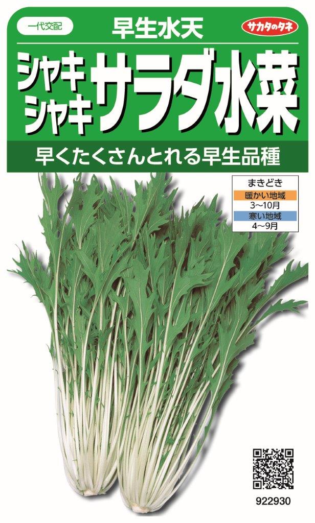 サカタのタネ 実咲国内一律(離島含む)送料無料「早生水天」シャキシャキサラダ水菜5袋¥1850 5袋からの採苗本数 約4900本春まき・秋まき