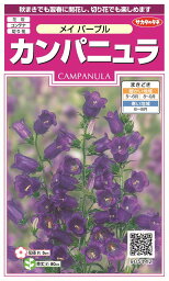 国内一律（離島含む）送料無料サカタのタネ 実咲カンパニュラ メイパープル10袋￥3550　10袋の粒数目安 約620粒春まき・秋まき です♪♪・・・（細かいタネがまける土）ピートバン、5枚受け皿付 1箱 、下段の「こちら」クリックしてください。