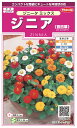 国内一律(離島含む)送料無料サカタのタネ 実咲ジニア (百日草) ジニータミックス10袋¥3350 10袋からの粒数目安 約100粒春まき