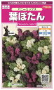 国内一律(離島含む)送料無料サカタのタネ 実咲葉ぼたん バニーミックス切花用混合10袋¥3350 10袋からの採苗本数 約250本 春まき・秋まき