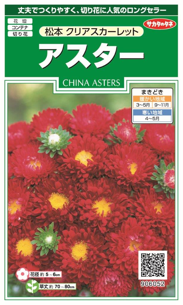 快適生活　サカタのタネ 実咲アスター 松本 クリアスカーレット10袋￥3100　10袋からの粒数目安 約1300粒国内一律 送料無料（離島含む）