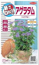 国内一律(離島含む)送料無料サカタのタネ 実咲アゲラタム10袋¥2350 10袋からの粒数目安 約430粒春まき