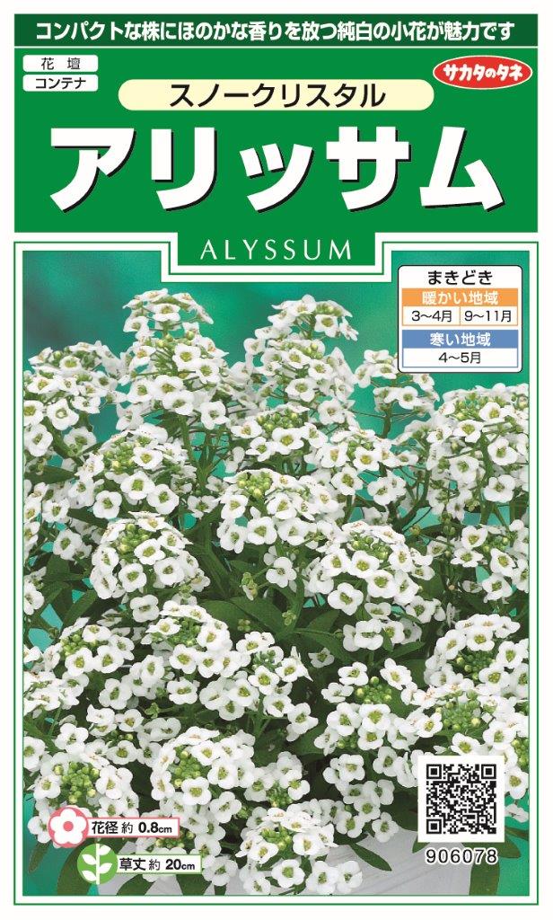 実咲国内一律（離島含む）無料アリッサム スノークリスタル10袋￥2350 10袋からの採苗本数 約360本春まき・秋まき