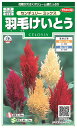 国内一律(離島含む)送料無料サカタのタネ 実咲羽毛けいとう センチュリーミックス10袋¥2350 10袋からの粒数目安 約1430粒春まき