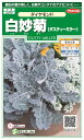 国内一律(離島含む)送料無料サカタのタネ 実咲白妙菊(ダスティーミラー) ダイヤモンド10袋¥2350 10袋からの採苗本数 約2000本春まき・秋まき