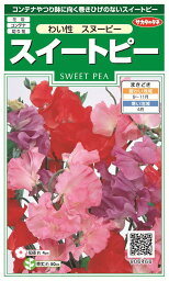 国内一律（離島含む）送料無料サカタのタネ 実咲スイートピー わい性 スヌーピー10袋￥2350　10袋からの採苗本数 約100本春まき・秋まき