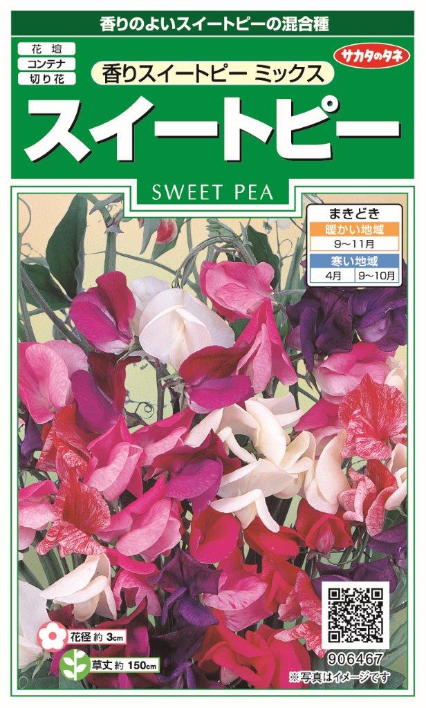 国内一律（離島含む）送料無料サカタのタネ 実咲スイートピー 香りスイートピーミックス10袋￥2350　10袋からの採苗本数 約130本春まき・秋まき