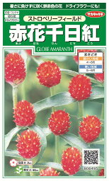 国内一律（離島含む）送料無料サカタのタネ 実咲赤花千日紅 ストロベリーフィールド10袋￥2350　10袋からの粒数目安　約250粒春まき