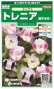 国内一律(離島含む)送料無料サカタのタネ 実咲トレニア ミックス10袋¥2350 10袋からの粒数目安 約2670粒春まき