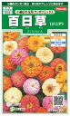 国内一律(離島含む)送料無料サカタのタネ 実咲百日草(ジニア)小輪切り花用サンボウミックス10袋¥2350 10袋からの採苗本数 約250本春まき・秋まき