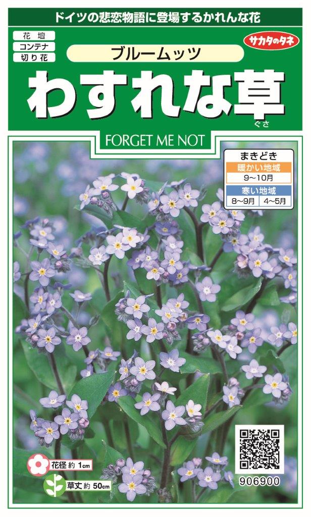 忘れな草の種 - 植物/観葉植物