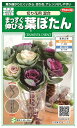 国内一律(離島含む)送料無料サカタのタネ 実咲まっすぐ伸びる葉ぼたん 切り花混合10袋¥2350 10袋からの粒数目安 約270粒春まき