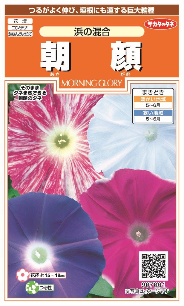 快適生活　国内一律（離島含む）送料無料サカタのタネ 実咲朝顔浜の混合10袋￥2000　10袋からの粒数目安　約80粒（907-001）春まき　1月～5月まで販売です。♪♪・・・