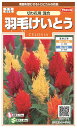 国内一律(離島含む)送料無料サカタのタネ 実咲羽毛けいとう 切り花用 混合10袋¥1850 10袋からの採苗本数 約1380本春まき