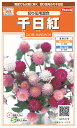 国内一律(離島含む)送料無料サカタのタネ 実咲千日紅 切り花用混合10袋¥1850 10袋からの粒目安 約420粒春まき