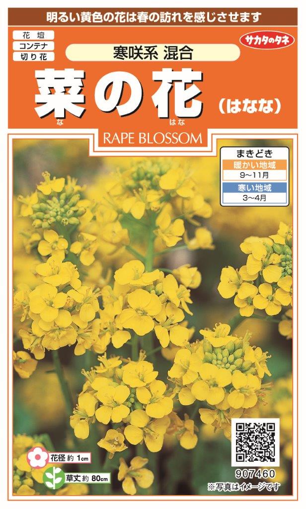 国内一律送料無料 離島含む サカタのタネ☆菜の花 はなな・菜種 寒咲系混合 907-460 ☆10袋組 1セット￥1650菜の花の採苗本数 10袋で 約1000本 ・・新タネ入荷いたしました