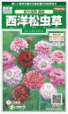快適生活 国内一律(離島含む)送料無料サカタのタネ 実咲西洋松虫草 切り花用 混合10袋¥3100 10袋からの粒数目安 約450粒春まき・秋まき