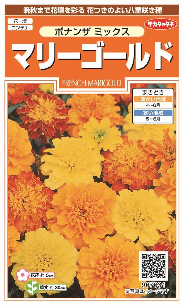 国内一律（離島含む）送料無料サカタのタネ 実咲マリーゴールド ボナンザミックス 10袋￥2350（907-631）　10袋からの粒数目安数 約450本春まき　1月～7月まで販売です。♪♪・・・