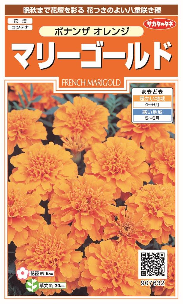 国内一律（離島含む）送料無料サカタのタネ 実咲マリーゴールド ボナンザオレンジ10袋￥2350　10袋からの粒数目安　約450粒春まき