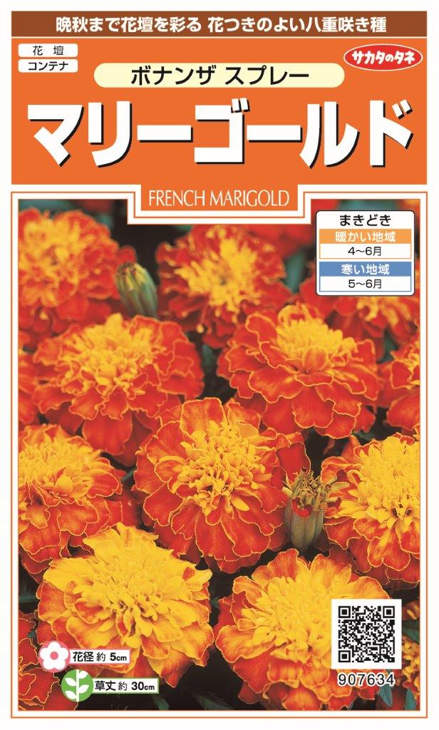 国内一律（離島含む）送料無料サカタのタネ 実咲マリーゴールド ボナンザスプレー10袋￥2350　10袋からの粒数目安　約450粒春まき