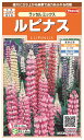 国内一律(離島含む)送料無料サカタのタネ 実咲ルピナス ラッセルミックス10袋¥2350 10袋からの採苗本数 約200本春まき・秋まき