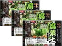 腐葉土 用土 高度熟成腐葉土 40L × 4袋セット 土壌改良 園芸 土 【送料無料】