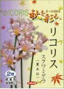 日本国内送料無料♪♪・・リコリス　スクワミゲラ（夏水仙）6球セット　おしゃれな花秋を彩るひがんばな草丈：60〜70cm…