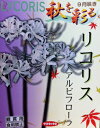 日本国内送料無料♪♪・・ひがんばな リコリスアルビフローラ　やや大ぶりな乳白色5球セット　おしゃれ草丈：50〜60cm完売いたしました。ありがとうございました次回入荷は5月末～6月です。ご予約お受け中です。