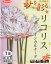 日本国内送料無料♪♪・・リコリス　インカルナータ　乳白色紅筋入り 5球セット　秋きを彩るひがんばな白花まんじゅしゃげともいい、ラジアータ（ヒガンバナ）よりやや大ぶりな花草丈：50〜60c入荷いたしました。