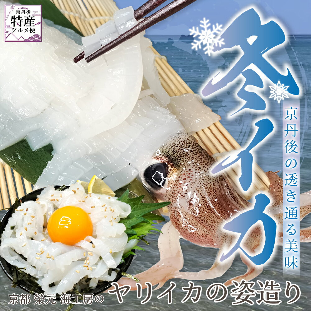 【冬イカの姿造り】天然 冷凍 ヤリイカ 冬イカ 産地直送 Mサイズ Lサイズ いか 刺身 日本海 晩酌 お取り寄せグルメ イカ 姿造り 刺身 新鮮 お造り おつまみ 魚介 海鮮 姿造り お刺身 送料無料 ギフト プレゼント 京都 京丹後 久美浜