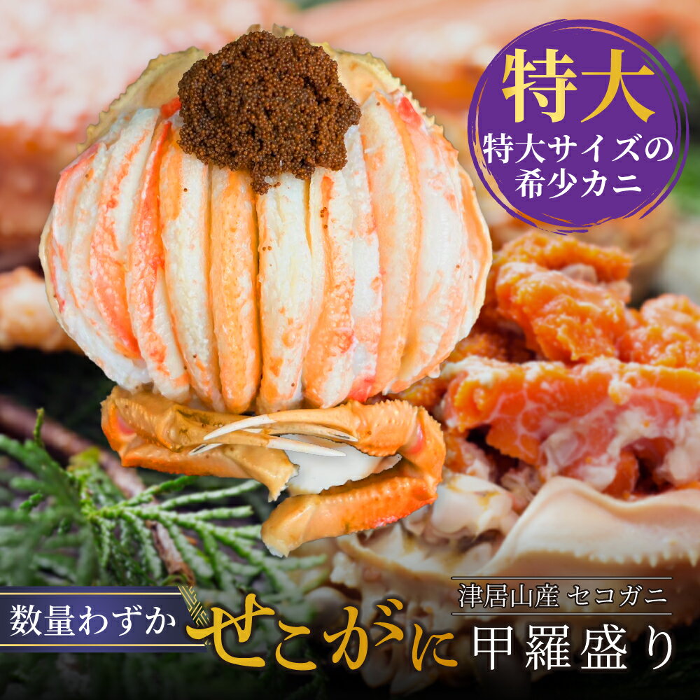 【セコガニ甲羅盛り】 京都榮元 送料無料 数量限定 甲羅盛り 特大 せこがに セイコガニ 香箱ガニ  ...
