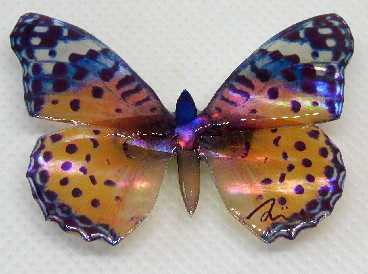 螺鈿アクセサリーブローチ 　ツマグロヒョウモン蝶