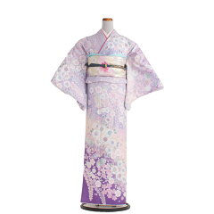 https://thumbnail.image.rakuten.co.jp/@0_mall/kyoto-chirimenya/cabinet/1houmongi/165.jpg