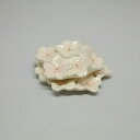 桜 香合 今岡三四郎