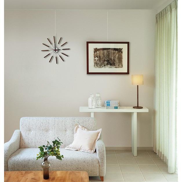 ������ �ߥ�A�եå� ����С��ʿ侩�ٽ�20kg�Υԥ����㡼�졼���ѥեå��˥ץå�����꼰�Ǹ��դ���ǽ