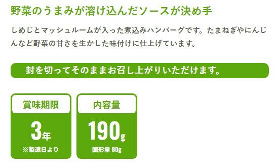 イザメシ/煮込みハンバーグ