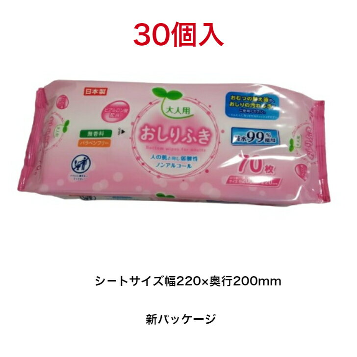 Life-do.Plus　ライフ堂　大人用おしりふき70枚×30パックサイズ　　　200mm×220mm(シート)