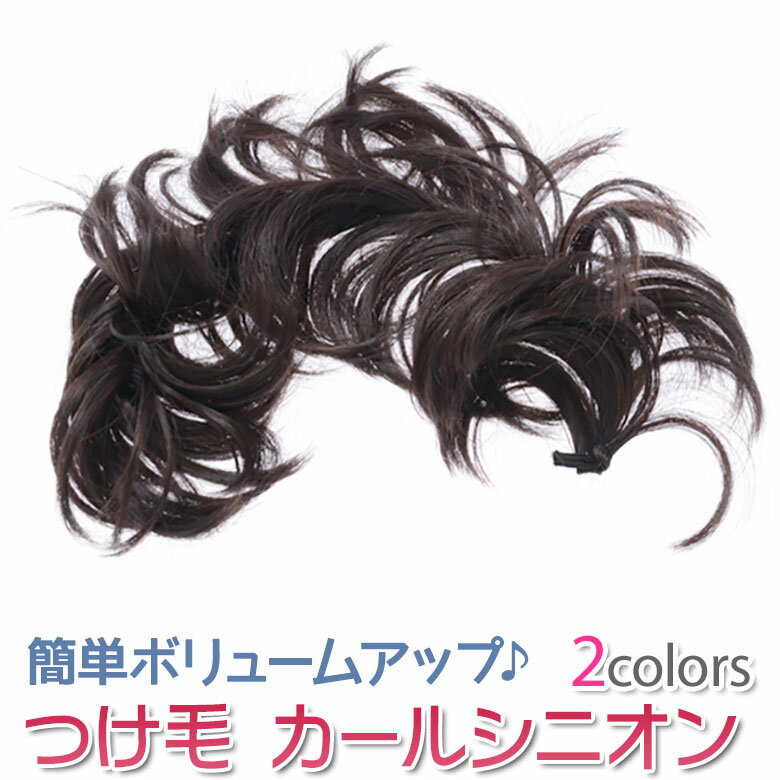 【ネコポス便可】【髪飾り】つけ毛