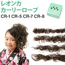 【ヘアセット 材料】【つけ毛】レ