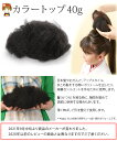 ヘアセット 材料 カラートップ ヘアートップ 40g 毛たぼ すき毛 自然色 ヘアトップ ネコポス便可 2