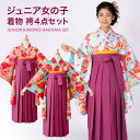 小学校卒業式 ジュニア 女の子 着物袴 セット 訳あり ピンク 水色 ワイン 桜 雪輪 菊 橘 コーディネート 襦袢・袴下帯付 無地袴 小学生 140cm 15...