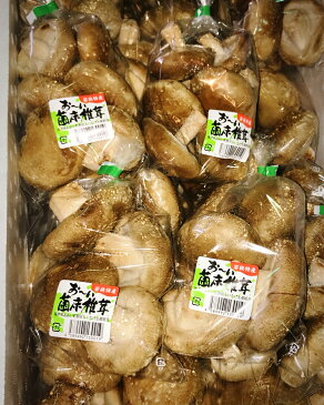 しいたけ 生しいたけ 椎茸 シイタケ きのこ キノコ 750g （150g ×5パック） 肉厚 ジューシー 国産 福井県 野菜 やさい 菌床椎茸 鍋 おすすめ おいしい 人気 新鮮 ※ 栽培キット 菌 種駒 ではありません SSS