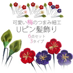 可愛い 梅のUピン 髪飾り 選べる3色 6点セット コサージュ【七五三 成人式 十三参り 卒業式 赤 白 ピンク】